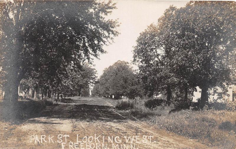 B81/ Freeborn Minnesota Mn Real Photo RPPC Postcard c1910 Park Street West Dirt