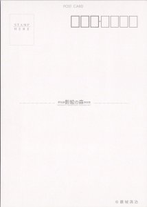 Japanese Scene Fisherman Lighthouse Shosenkyo Museum Reproduction Postcard C9