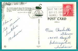 Florida - Chimpanzee - Monkey Jungle - [FL-809]