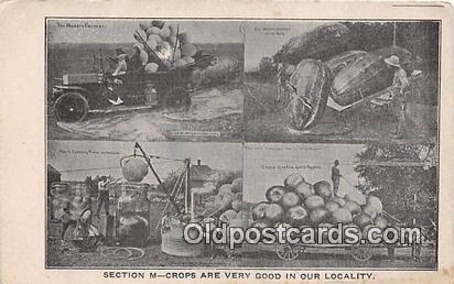 Section N Crops Modern Farmer Postcards Post Cards Old Vintage Antique Modern...