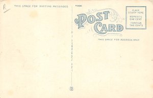 Advertising Post Card Northwestern Hide & Fur Co, bears Minneapolis, MN, USA ...