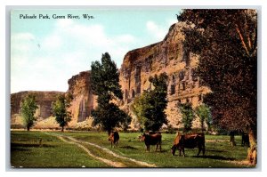 Palisade Park Green River Wyoming WY UNP DB Postcard P20