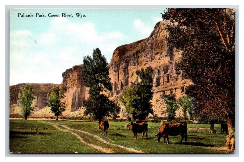 Palisade Park Green River Wyoming WY UNP DB Postcard P20