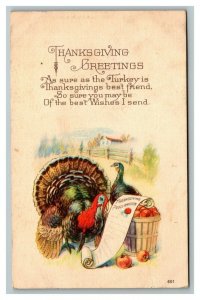 Vintage 1910's Thanksgiving Postcard Large Turkey Basket of Apples NICE