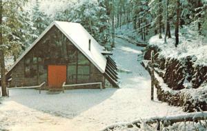 Pine Colorado Deer Creek Christian Camp Snow Scene Vintage Postcard K70739