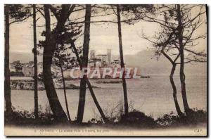 Old Postcard Antibes Old Town through the Pines