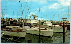 Postcard - Visitors viewing the 'day's catch' - Ocean City, Maryland