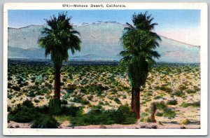 Mohave Desert California 1937 Postcard Palm Trees Riverside CA Cancel