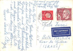 Picking Flowers Dog 1911 