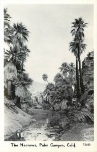 Frashers RPPC Postcard F3498 The Narrows Palm Canyon Riverside County CA