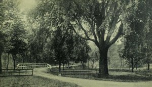 C.1900-10 Entrance Mt. Pleasant Cemetery Geneva, OH Vintage Postcard F76