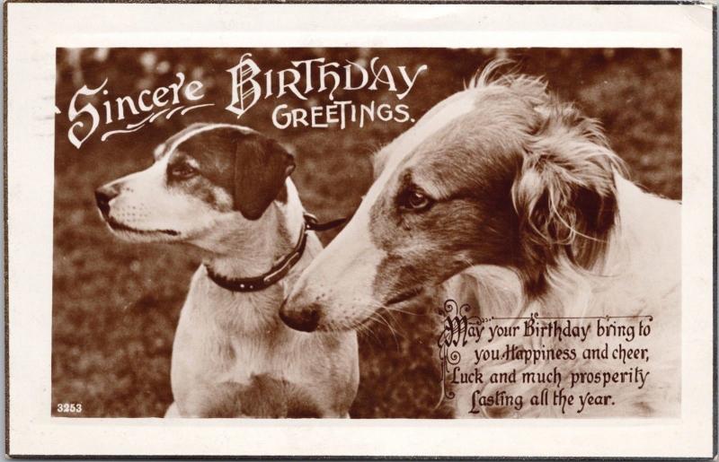 Two Dogs Sincere Birthday Greetings Dog Postcard Real Photo D65