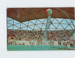 Postcard Porpoise, Golden Dome, Aquatarium, St. Pete Beach, Florida