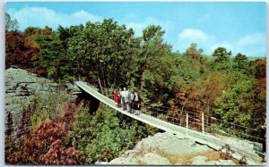 M-47126 Swing-Along Bridge Rock City Gardens Atop Lookout Mountain Georgia