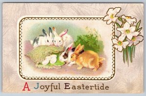 A Joyful Eastertide, Bunny Rabbits, Eggs, Daffodils, National Fine Arts Postcard