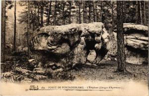 CPA Foret de FONTAINEBLEAU - L'Elephant (Gorges d'Apremont) (248713)