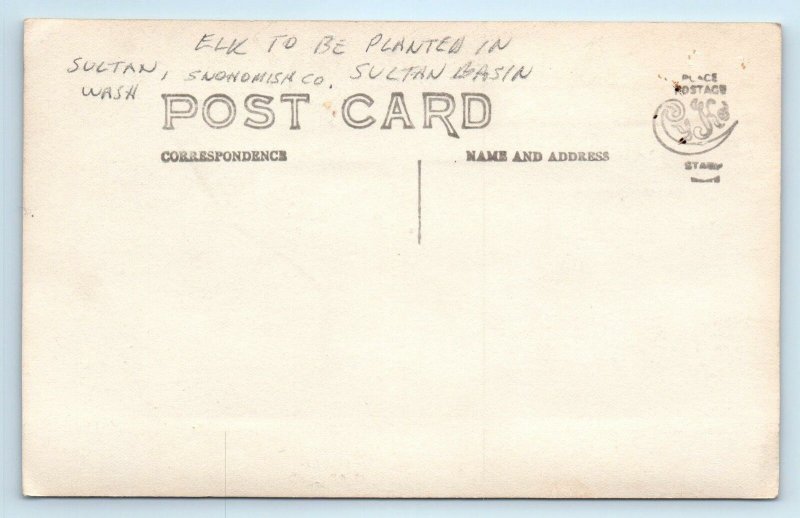 RPPC SULTAN, WA Washington ~ ELK to be PLANTED in SULTAN BASIN c1910s Postcard