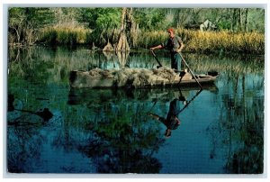 1963 Moss Picker Gathering Spanish Moss Cajuns Bayou Country Louisiana Postcard 