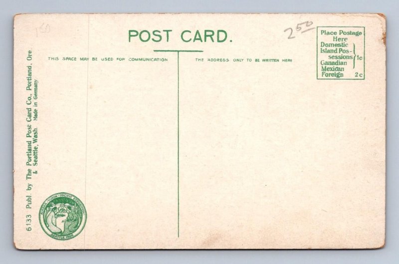 LOGGING LARGE TIMBER ALASKA YUKON PACIFIC AYP EXPO POSTCARD (1909)