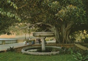 Spain Postcard - Cadiz - Alameda De Apodaca   RR7167