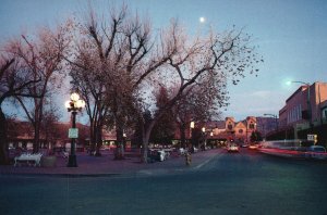 Vintage Postcard 1900's View Full Moon Night at Santa Fe New Mexico