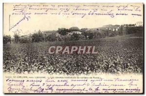 Old Postcard Libourne St Emilion Pres Les Grands Vignobles Du Coteau From Pavia