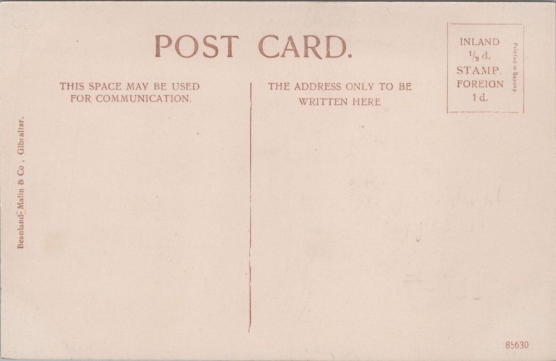 Gibraltar Warships In Dry Docks Vintage Postcard C117