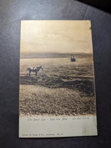 Mint Germany English French Postcard The Dead Sea Horse Boat