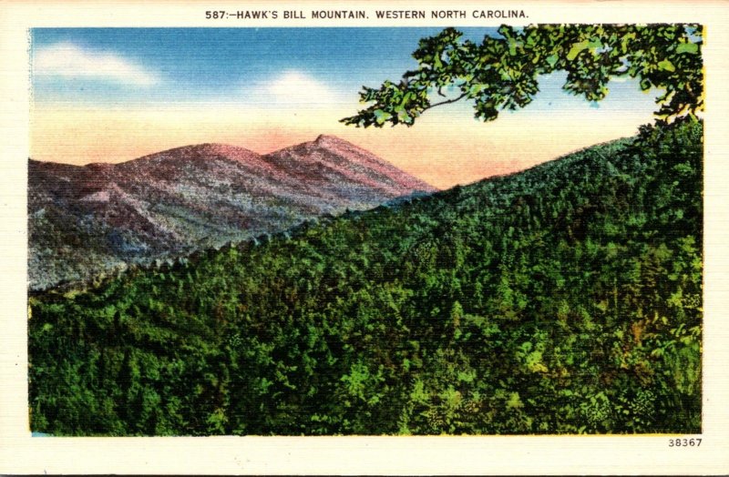 North Carolina Hawk's Bill Mountain