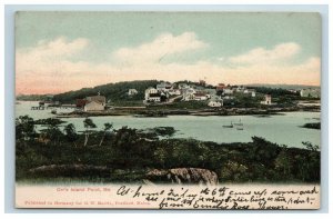 1906 Orr's Island Point ME Postcard Maine Homes Made in Germany