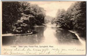 Swan Lake, Forest Park, Springfield MA c1906 Vintage Postcard N15