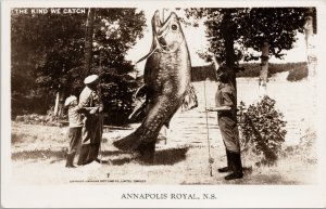 Annapolis Royal NS Exaggeration Fish The Kind We Catch Fishing RPPC Postcard E97