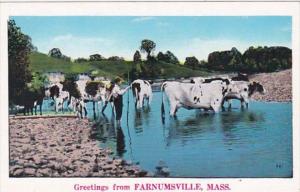 Massachusetts Greetings From Farnumsville