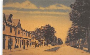 Clifton Avenue Looking North From Main Street 100th Anniversary, 1892 - Lakew...