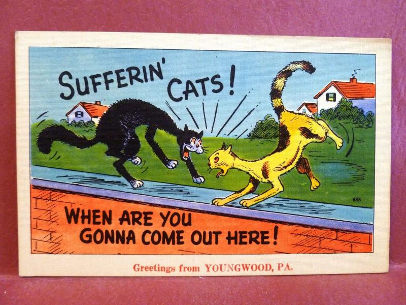Postcard PA Youngwood Comic Greetings from Youngwood Sufferin Cats