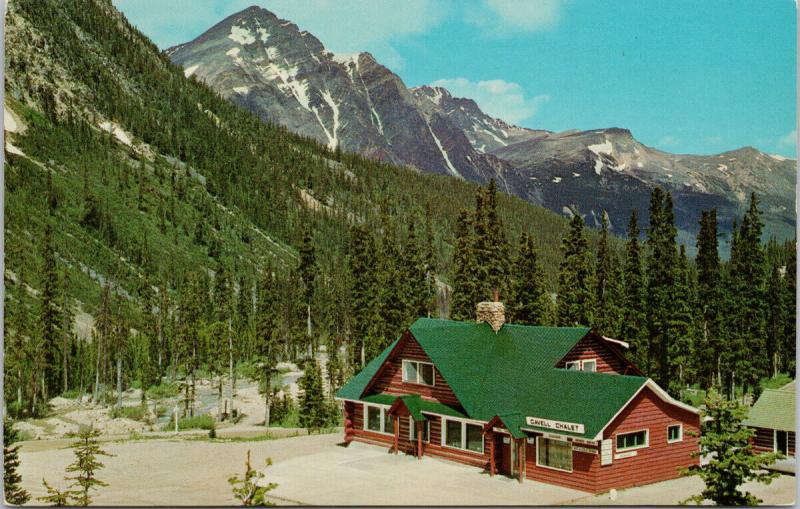 Cavell Chalet Jasper Alberta AB Unused Vintage Postcard D80