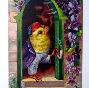 Easter Postcard Fantasy Dressed Baby Chick Fez Hat Smoking Pipe Gel Germany 1520