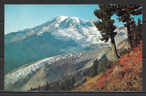 Washington - Mount Rainier & Nisqually Glacier - [WA-061]
