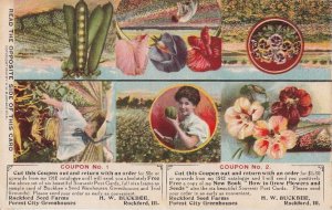 Postcard Rockford Seed Farms HW Buckbee Rockford IL