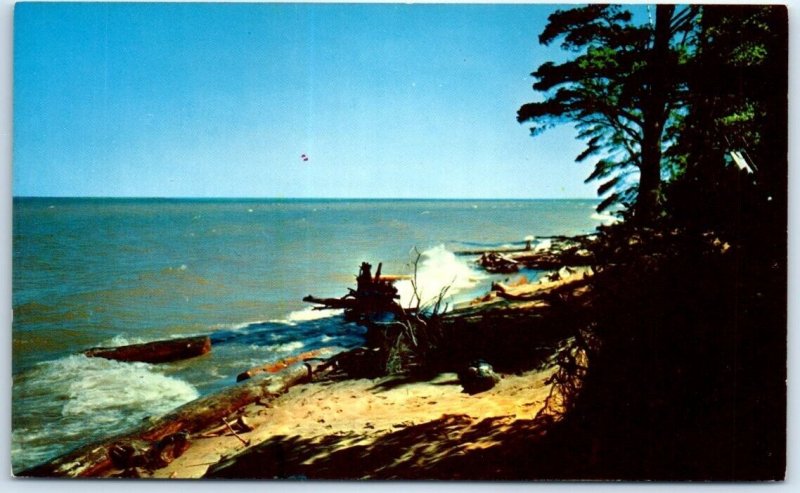 Postcard -  A Beautiful Scene Of A Rugged Shore Line 