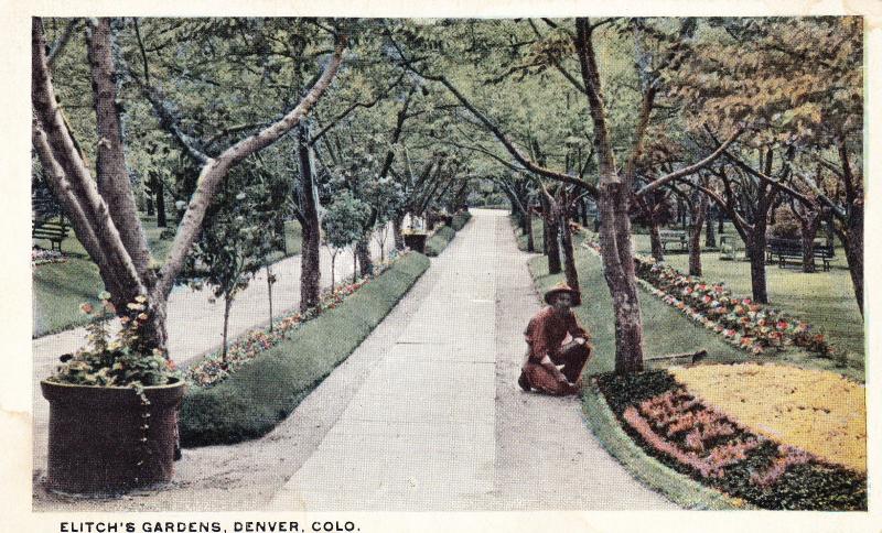 Vintage Postcard, Elitch's Gardens, Denver Colorado  Flower Beds Landscaping D16