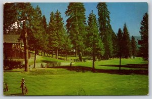 Blairsden California~Feather River Inn Golf Course Scene~PM 1964~Vtg Postcard