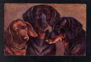 3034032 DACHSHUNDS Friends by THOMAS vintage PC
