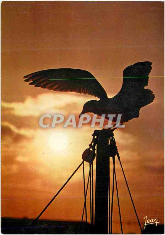The Modern Postcard Brittany sending seagull at sunrise