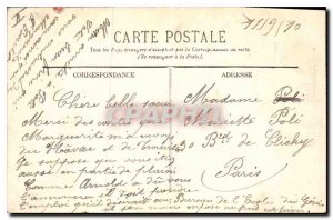 Old Postcard Lyon Park Tete d'Or Les Cygnes