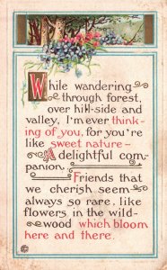 Vintage Postcard 1919 Remembrance of Friendship A Delightful Companion Souvenir