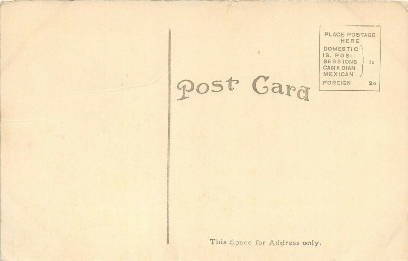 SOUTH DAKOTA c1910 Postcard Typical Black Hills Scenery Man by Dirt Road