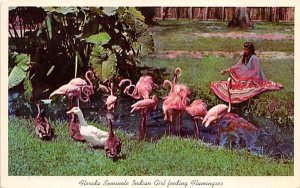 Florida Seminole Indian Girl feeding Flamingoes