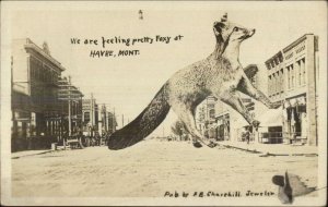 Havre MT Street Scene & Fox Churchill Jeweler Real Photo Postcard c1910 xst