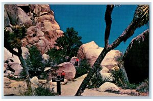 California CA Postcard Hidden Valley Joshua Tree National Monument Narrow Rocks